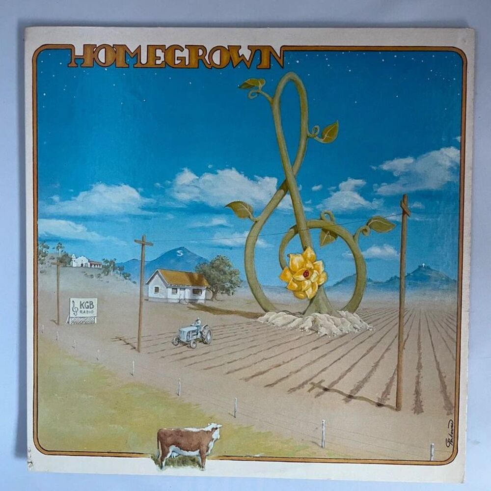 Homegrown Various Artists 1975 San Diego Rock Folk Vinyl Record
